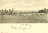 VC