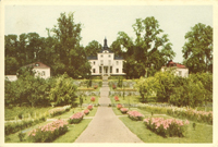 VC