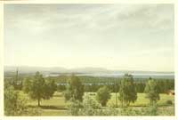 VC